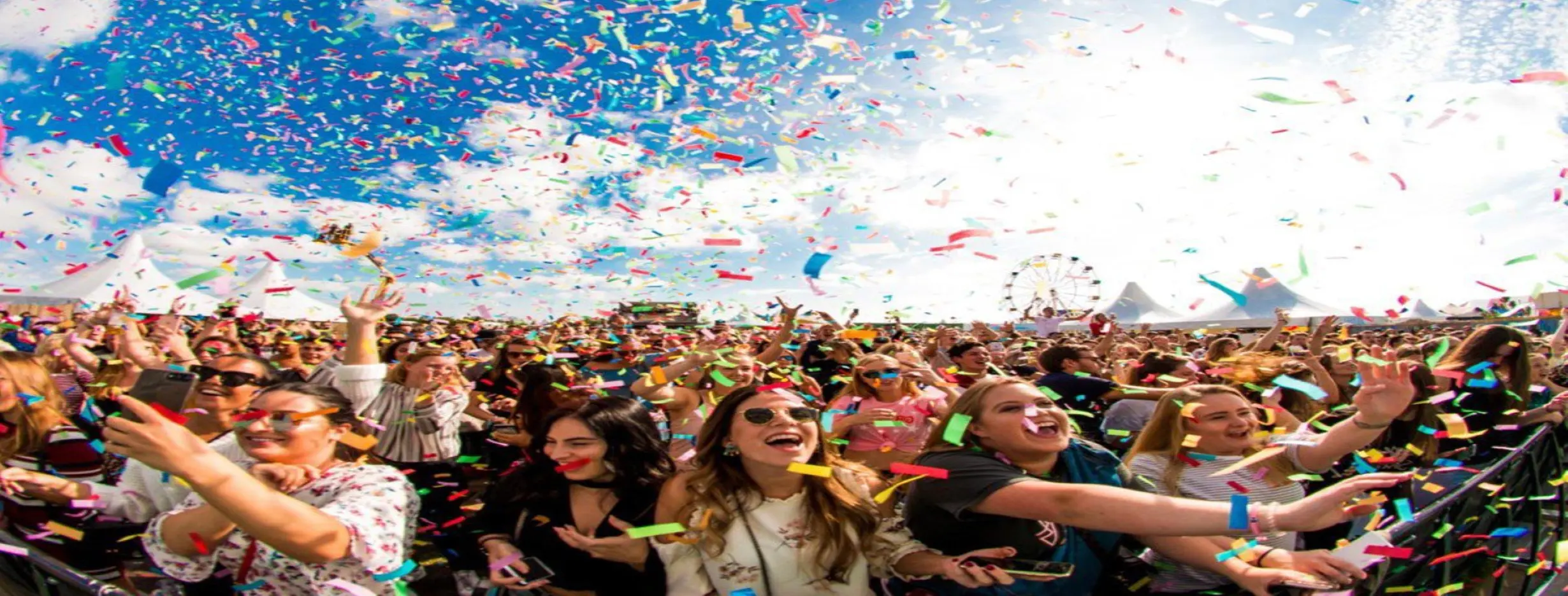 Image for Festival Fun